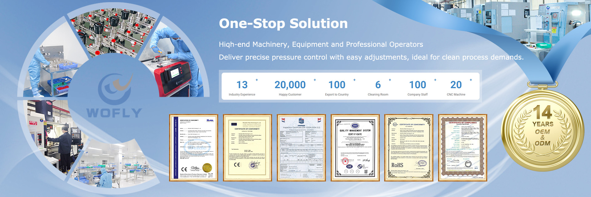 CALIDAD Regulador de presión del acero inoxidable fábrica