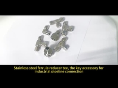 Fittings de tubos de acero inoxidable con conexión de ferrules duraderos con certificación CE ISO9001